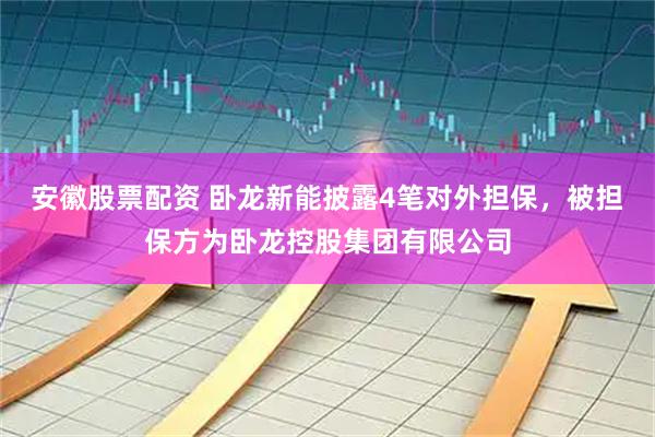 安徽股票配资 卧龙新能披露4笔对外担保，被担保方为卧龙控股集团有限公司