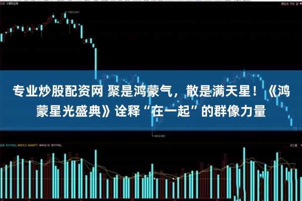 专业炒股配资网 聚是鸿蒙气，散是满天星！《鸿蒙星光盛典》诠释“在一起”的群像力量